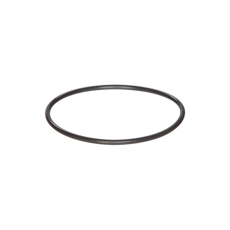 Beaver Island Parts Co. fits Raypak 006721F O-Ring only for
