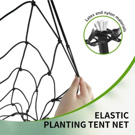 VARKAGE Scrog Net 60 x 60 cm, Plant Net, Grow Net 60 x 60 cm, Elastic Net with Hooks, Multi-Function for Plant Tents, 1 Bag of Cable Ties Included