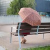 balvi Umbrella Puppymbrella colour brown including neoprene shell in the