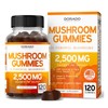 Mushroom Gummies 120 Count | Premium Mushroom Complex with Lion’s