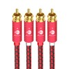 BOAACOUSTIC JIB 2 RCA Audio Cable RCA/phono cable, 2×2 plugs