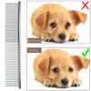 Pet Grooming Brush Metal Flea Comb for Removing Tangles Knots