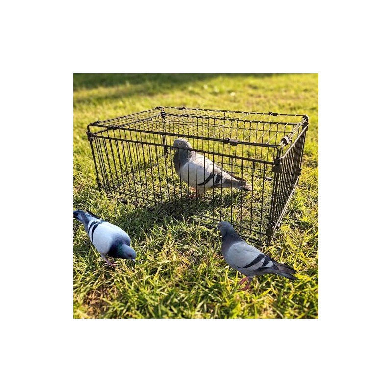 Bird Trap Cage Pigeon Quail Chicken Outdoor Trapping Live Small