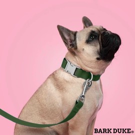 Indestructible Dog Collar, Fully Customizable Fit, Waterproof Nylon, Odor-Resistant, Metal Buckle and Adjusters (Emerald Green, Medium, 1”)