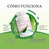 AloeCure Probiótico + cápsulas enzimas con prebióticos, 2.4 mil millones