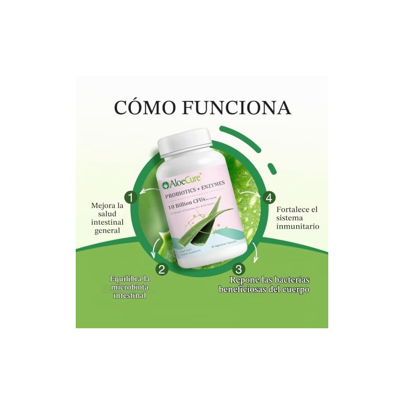 AloeCure Probiótico + cápsulas enzimas con prebióticos, 2.4 mil millones