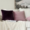 MIULEE Pack of 2 Velvet Soft Solid Decorative Square Throw