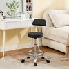 FIRAVOE Rolling Stool with Back,Adjustable Height Foot Rest Rolling Salon