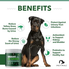 PETPAL Green Grass Supplement Treats for Dogs - Help Against Grass Burns and Yellow Lawn Spots Caused by Urine | Made with Cran-Max Cranberry for Urinary Tract and Bladder |Digestive Enzymes