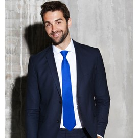 MDSTYLE Pre-Tied Necktie for Men - Solid Color Neck Tie with Adjustable Zipper - Wedding Business Formal Clip on Ties (Royal Blue)