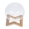 Mipcase Glass Terrarium Plant Holder Bubble Planter for Succulents and