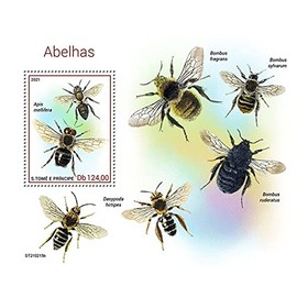 St Thomas - 2021 Western Honey Bee - Stamp Souvenir Sheet - ST210215b