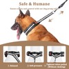 Mayerzon Martingale No Pull Dog Collar, Reflective Walking Collar for