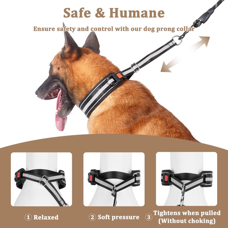 Mayerzon Martingale No Pull Dog Collar, Reflective Walking Collar for