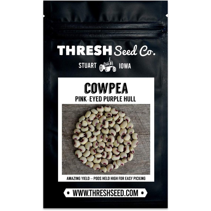 Pink-Eyed Purple Hull Cowpea - 50 Seeds