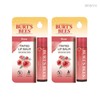 Burt's Bees Lip Balm Rose Tinted Colorful Moisturizing Lip Balm 4.25g 2pcs / 버츠비 립밤 로즈 틴티드 발색 보습 립밤 4.25g 2개
