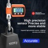 LCD Digital Display Crance Scale 0.05-500kg Portable Industrial Electronic Heavy