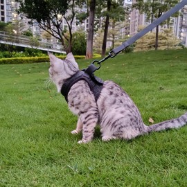 pangdi Kitten Harness and Leash Set Cat Harness for Walking Escape Proof Small Kitty Holster Service Cat Vest, Black, M