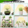 SciFiVisi Plant Light with Timer (White 4 Heads)