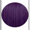 Pravana ChromaSilk Vivids SMOKEY VIOLET Vibrant Direct Dye Hair Color