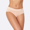 Boody Midi Brief, Light Grey Marl / S