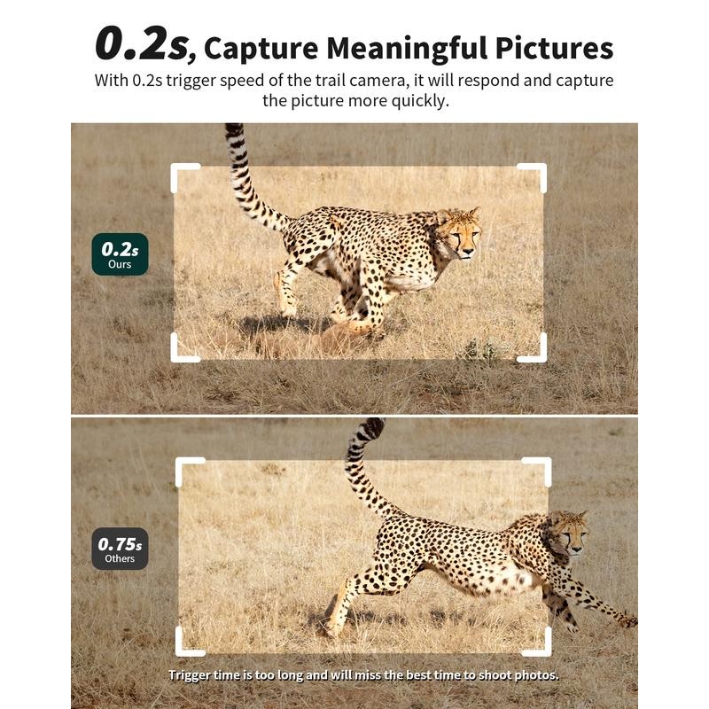 [Springtok] 4G LTE Wireless Solar Powered Trail Camera with 2K