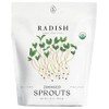 Organic Radish Sprout Seeds (16 oz) – Non-GMO, Heirloom Seeds