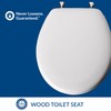 MAYFAIR 844CP 000 Edgewater Toilet Seat with Chrome Hinges will