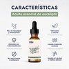 Hebbe - Aceite Esencial de Eucalipto 100% Puro, Calmante y