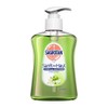 Sagrotan Apple & Jasmine Hand Soap Liquid Soap 250ml