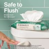 The Honest Company Flushable Wipes for Sensitive Skin | Fragrance