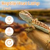 New Upgrade Reptile Heat Lamp Bulb (3rd Gen No Broken),