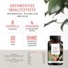 Amino Acids Complex High Dose - 180 Vegan Amino Tablets
