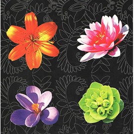 Floral Photo Set of 6 Blank Notecards ~ Floral Collage (Asiatic Lily, Water Lily, Crocus, Blossom; 5" x 5"; White Envelopes)