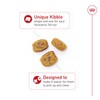 Royal Canin Breed Health Nutrition Yorkshire Terrier Adult Dry Dog