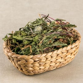 국산 민들레 100g 건 말린 포공영 차 한방재료 약초 Domestic Dandelion 100g Dried Porcupine Grass Tea Herbal Ingredients