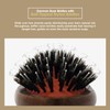Spornette Boar Bristle Hair Brush for Women - Porcupine Brush