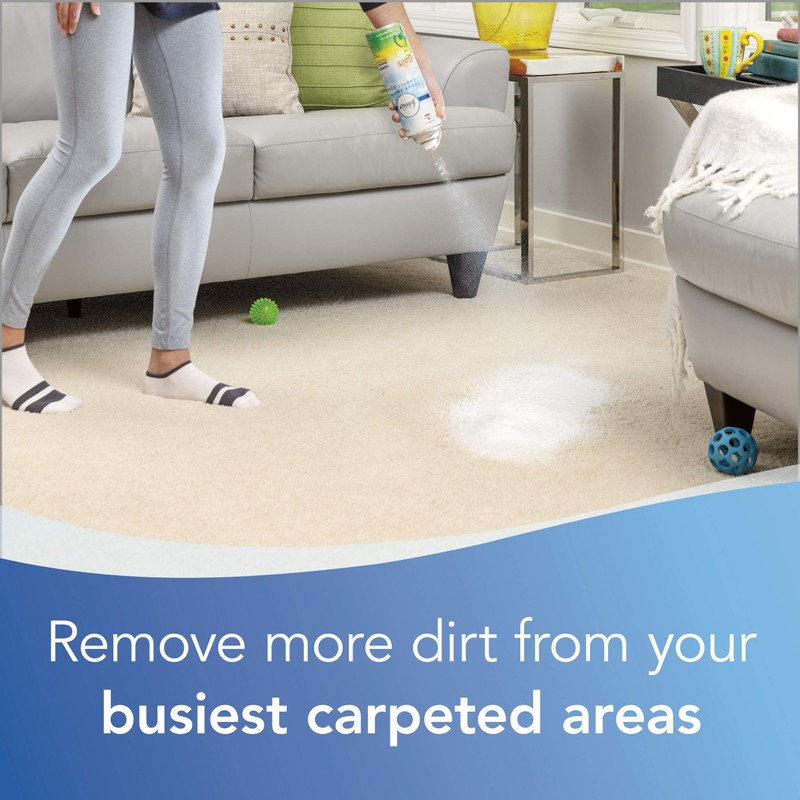 BISSELL Heavy Traffic Carpet Foam, Gain, 22oz (Pack of 4),