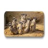 Merchandise for Fans Meerkat Fridge Magnets Rectangular 7 x 4.5