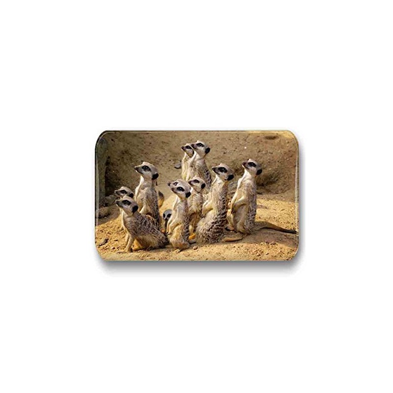 Merchandise for Fans Meerkat Fridge Magnets Rectangular 7 x 4.5