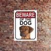 SHAWPRINT BEWARE OF THE DOG METAL GATE SIGN RHODESIAN RIDGEBACK
