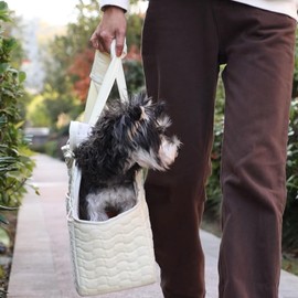 Patazone Small Dog Purse Cat Carrier Bag,Adult Cat/Puppy Carriers Bag Large Cat with Multiple Pockets,Breathable Mesh Soft Cushion,Traveling Pets Tote Picnic Outdoor 15lb (Grey2, Large)