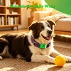 Qeisia Pendant for Dog Collar, Natural Scent Tag 2Pack with