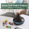 FUHITIM 90 Pcs Essential Oil Set - Essential Oils Gift
