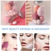14 pcs Makeup Sponge & Powder Puff Set/Bulk | Professional