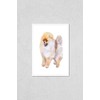 Poster Reproduction of Watercolor closeup portrait of Pomeranian dog isolated