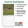 RED EMBER Select - Owls Mini 2025 Wall Calendar 12
