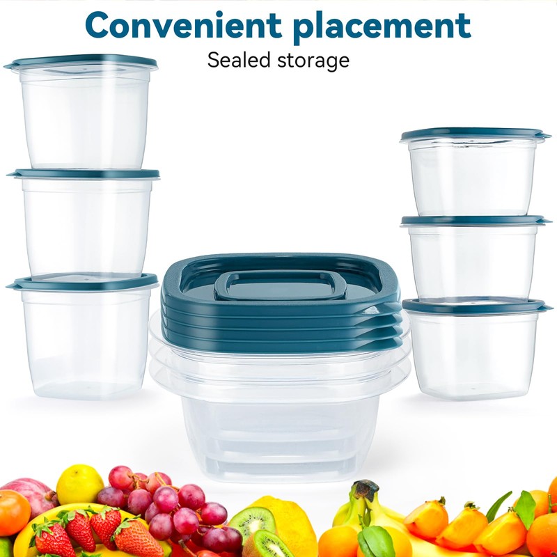 EFISH 10 Pieces Rectangle Plastic Portion Box Sets with Lid,