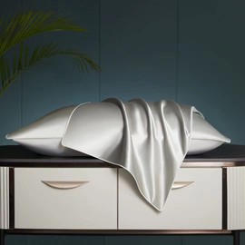 100% Mulberry Silk Charmeuse Silk Pillowcase With Lyocell underside for Hair and Skin 1pc Envelope Closure (50 x 75 cm, Silver)