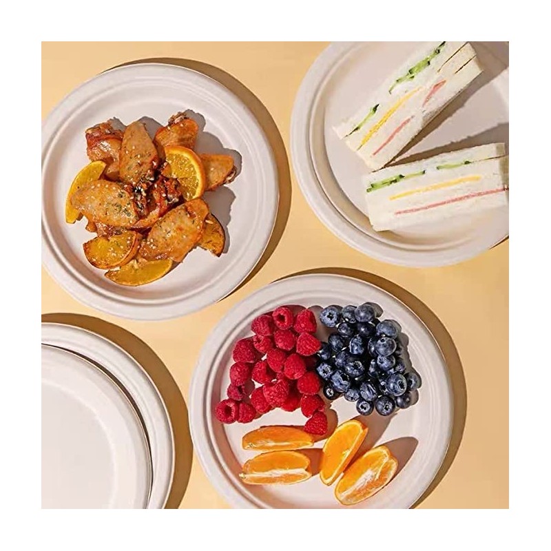 7 Inch Disposable Plates